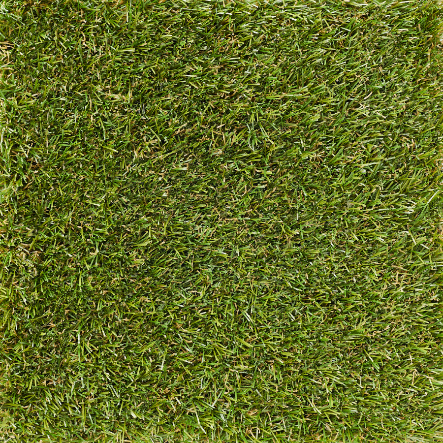 Leisure 20 mm top view