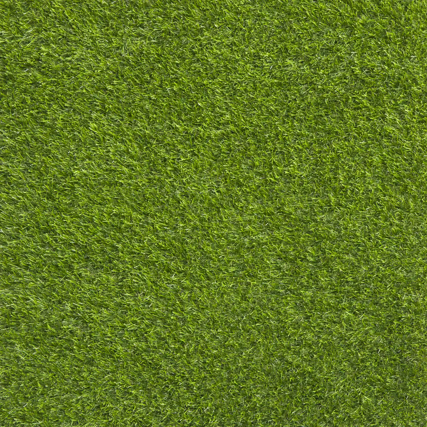 Serene 30 mm top view