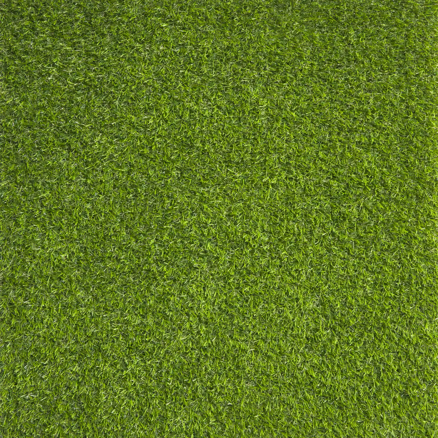 Serene 20 mm top view