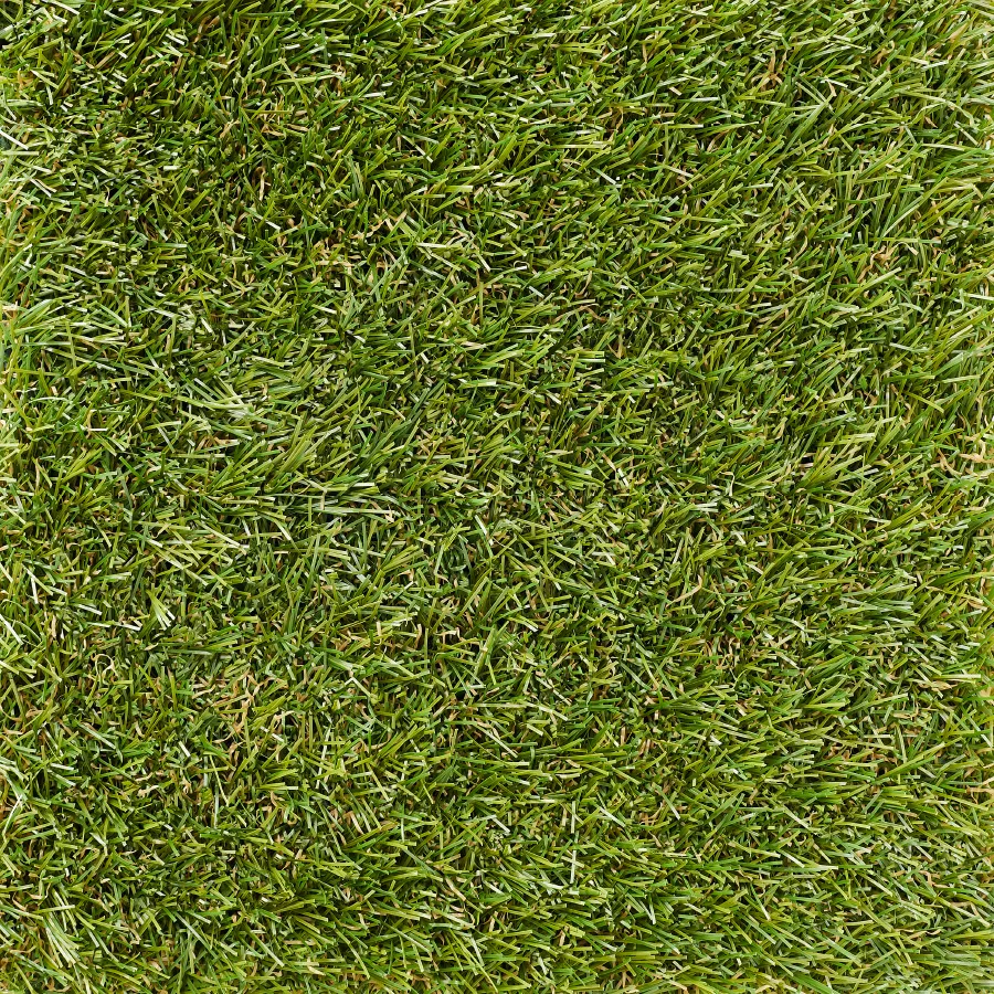 Leisure 25 mm top view