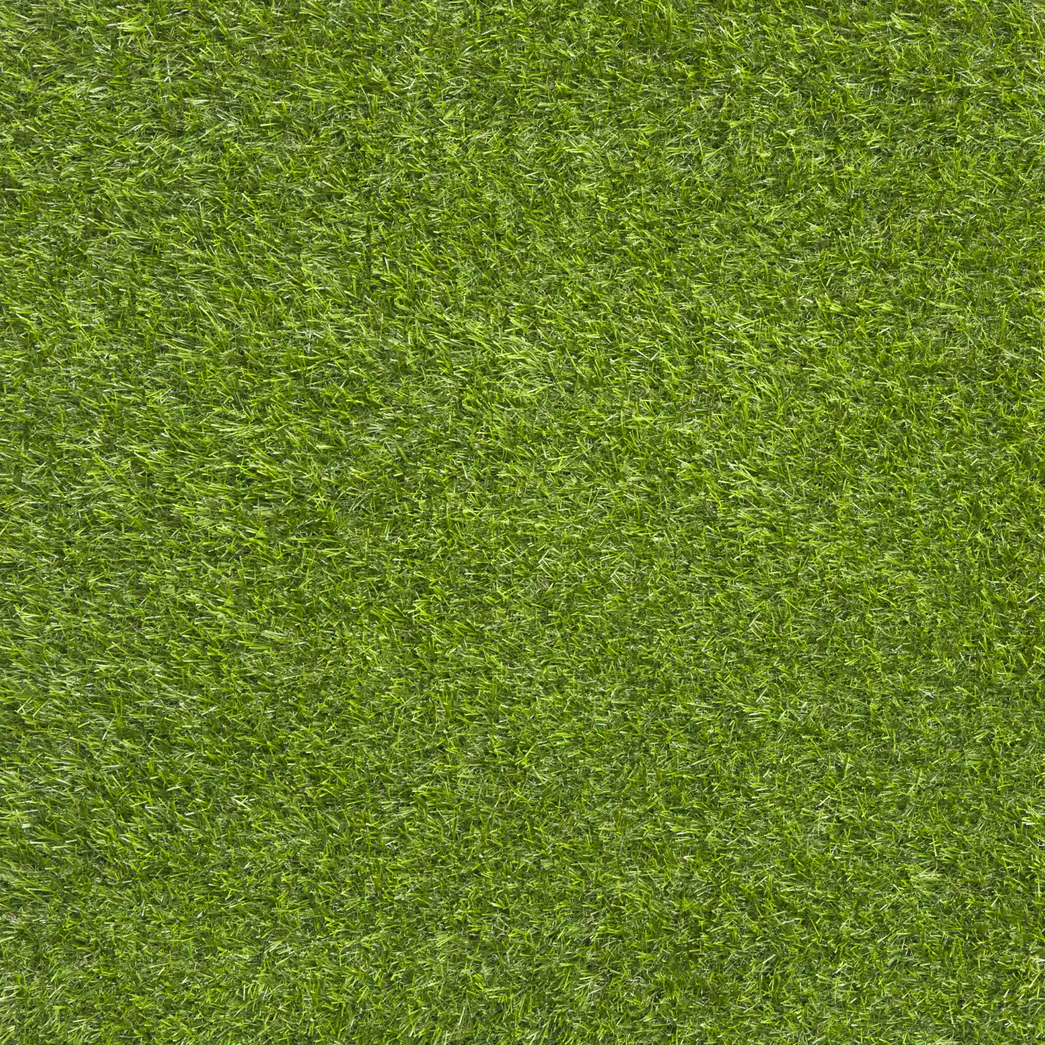 Serene 25 mm top view