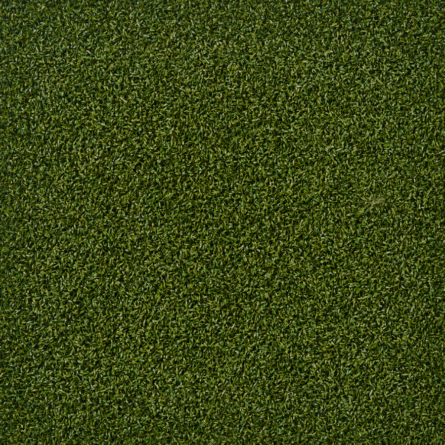 Putt Birdie top view