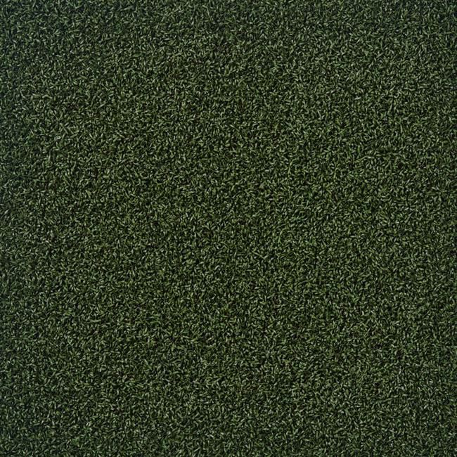 Putt Eagle top view