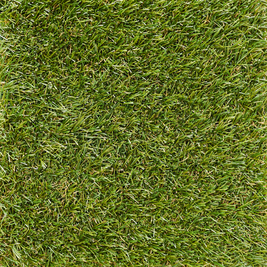 Breezy 25 mm top view