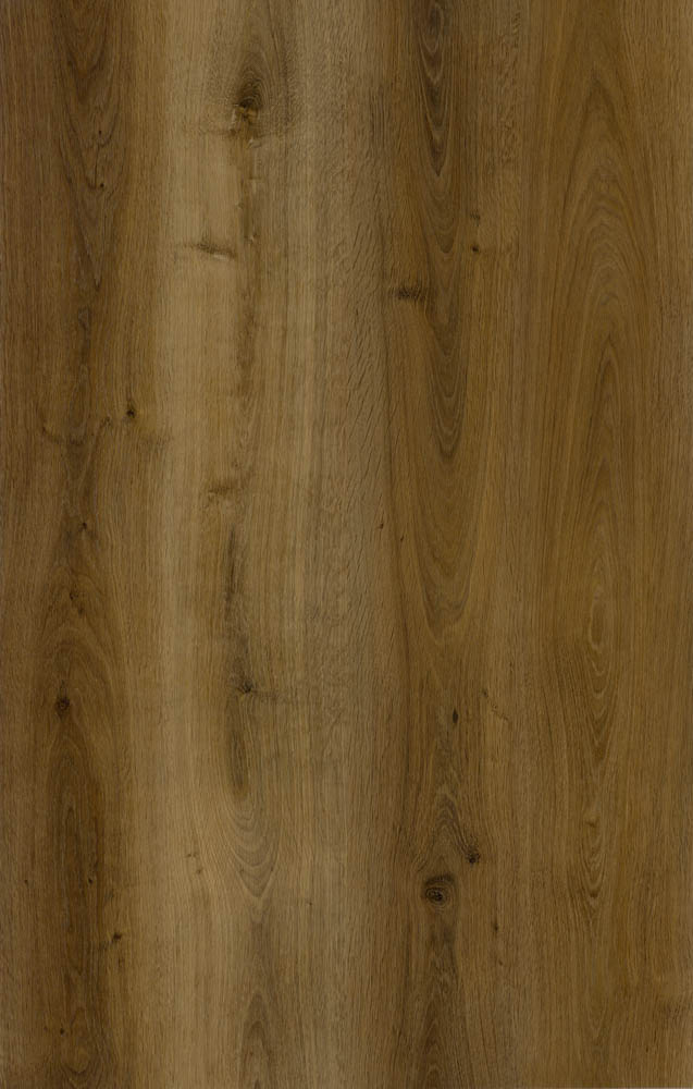 Cedar