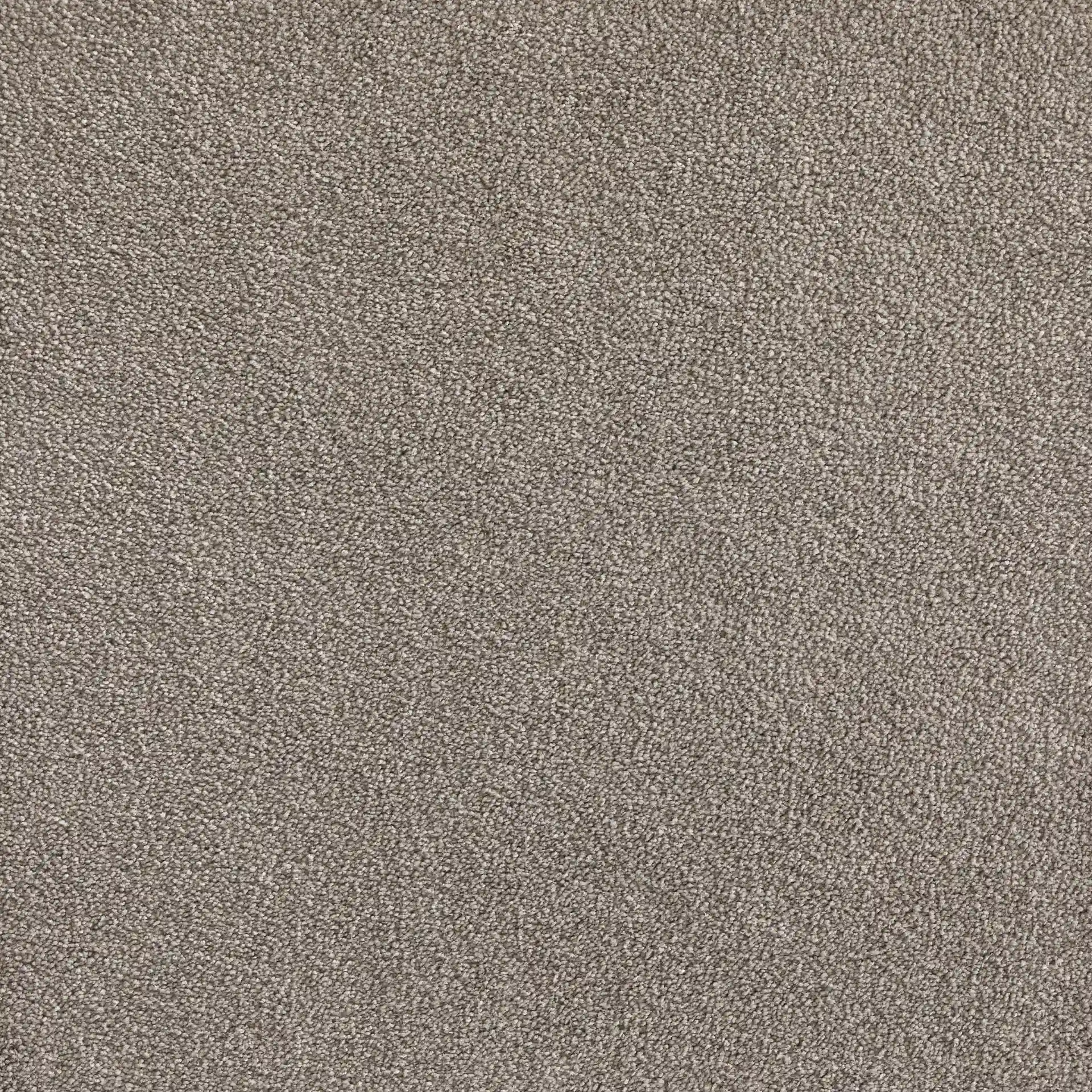 Cashmere