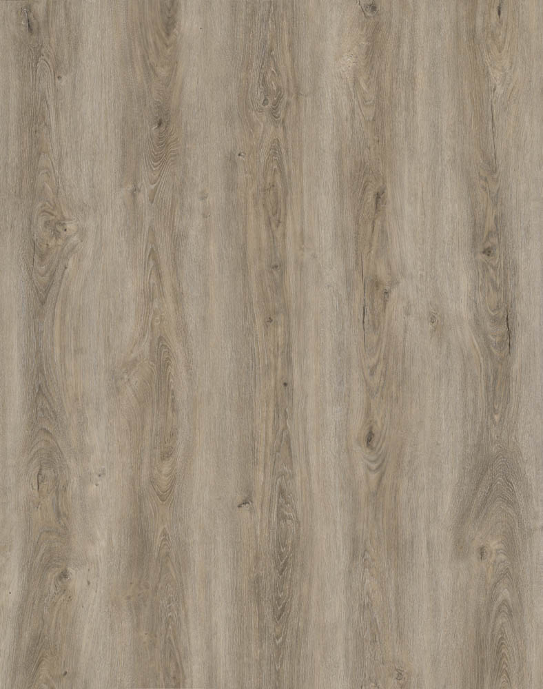Jarrah