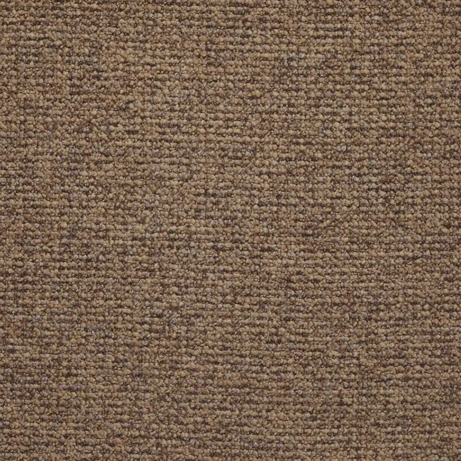 Raw Umber