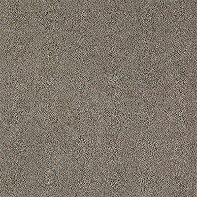 Birch
