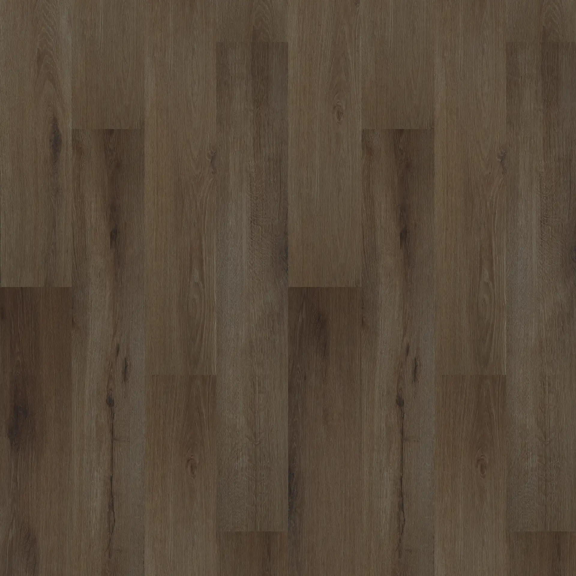 Chocolate L670