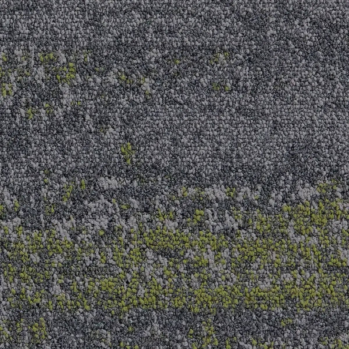 Fields