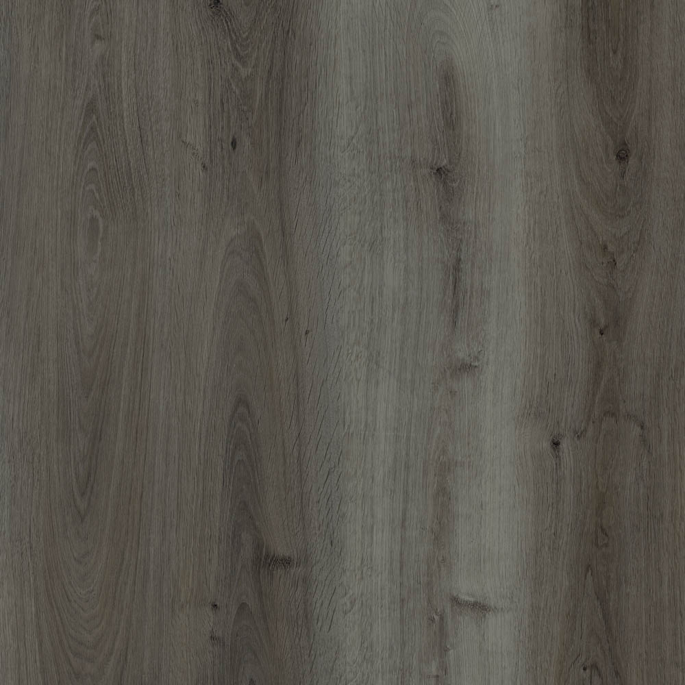 Charred Larch Cabin