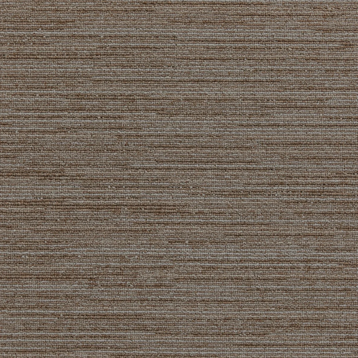 Contemporary Calm