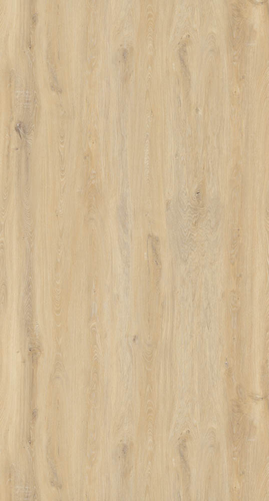 Alder