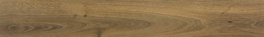 Nutmeg