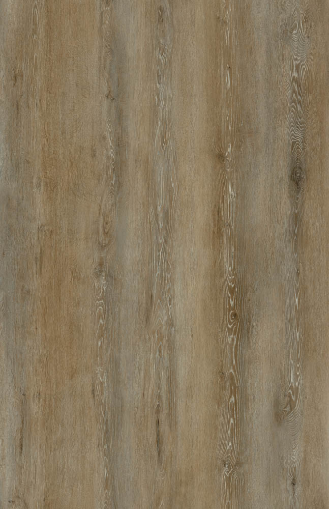 Larch