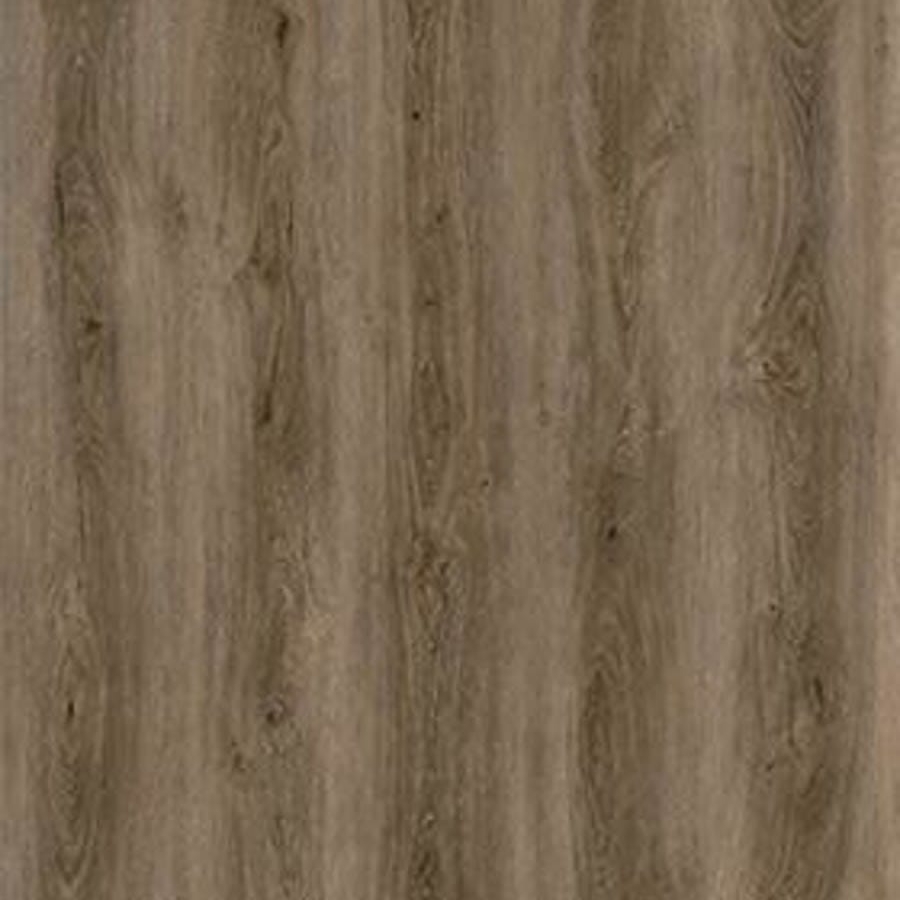 Poplar