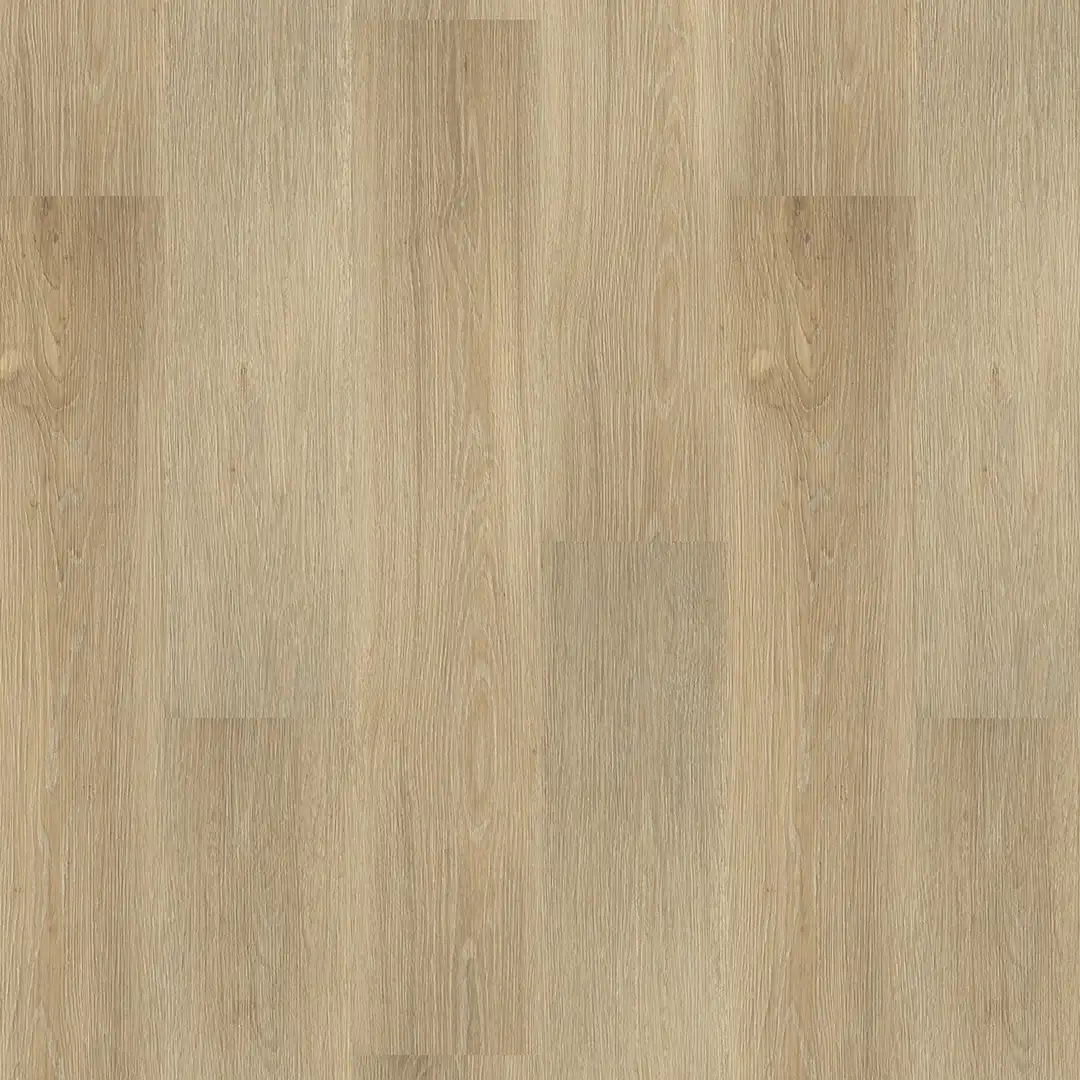 Cork Oak