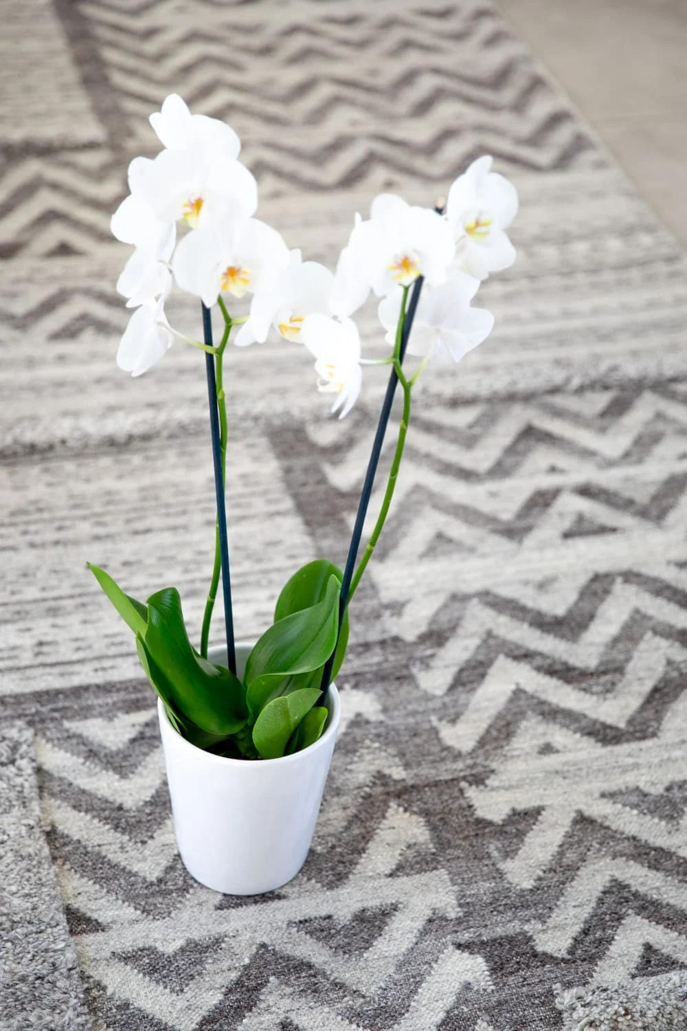 Tribe Wool Rug gallery image