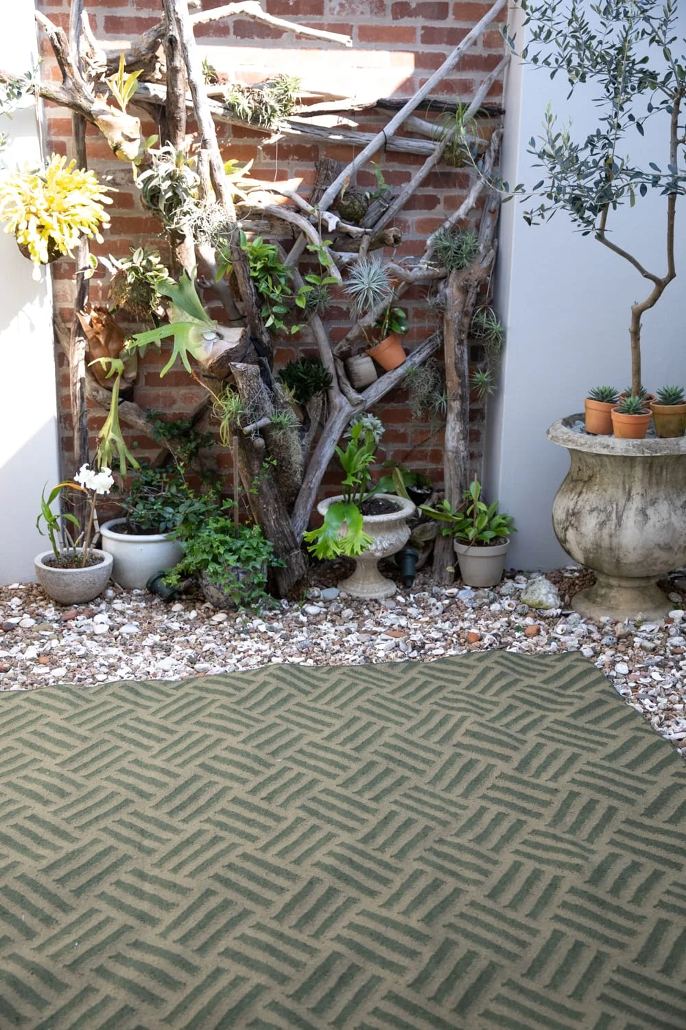 Braids Wool-Cotton Rug gallery image