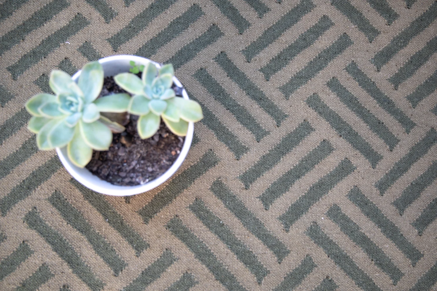 Braids Wool-Cotton Rug gallery image