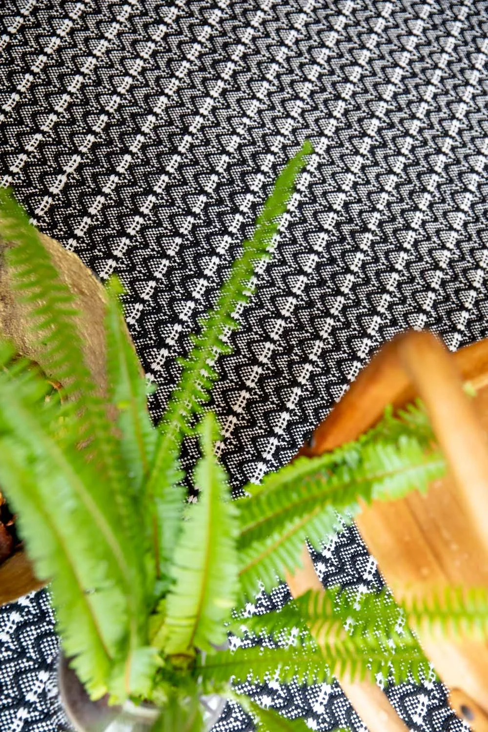 Dune Cotton Rug - Black gallery image